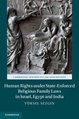 A book by former WSRP Research Associate Yuksel Sezgin