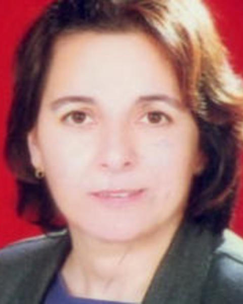 Ferial Khalifa, 2017–18 WSRP Research Associates